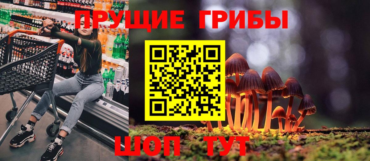 Галлюциногенные грибы мухоморы  Псилоцибиновые грибы Cubensis  где можно купить наркотик  Вход с VPN  Ачхой-Мартан 